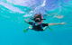 Swim With Whale Sharks- The Largest Fish In The World! - thumb 19