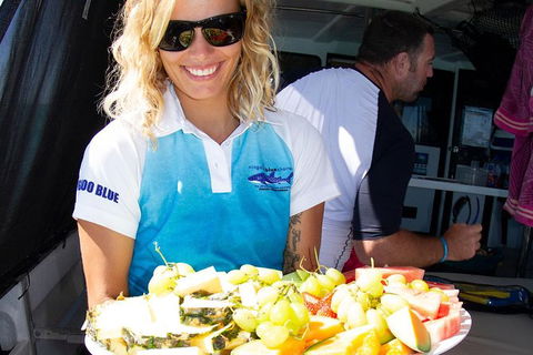 Swim With Whale Sharks- The Largest Fish In The World! - Accommodation Adelaide 8