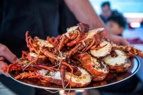 Mandurah Wild Seafood Adventure Cruise - Accommodation Adelaide 1