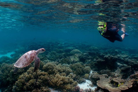 3 Night Ningaloo Reef Snorkel And Dive Getaway From Coral Bay - Accommodation Adelaide 0