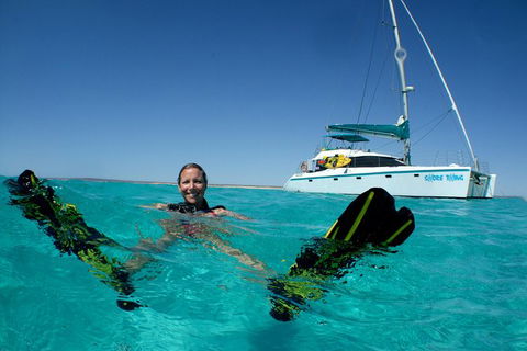 3 Night Ningaloo Reef Snorkel And Dive Getaway From Coral Bay - Accommodation Adelaide 1