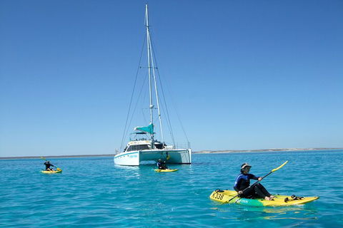 3 Night Ningaloo Reef Snorkel And Dive Getaway From Coral Bay - Accommodation Adelaide 7