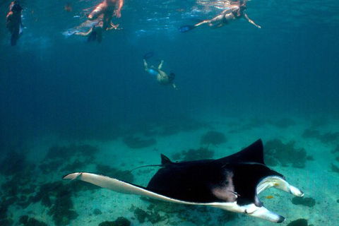 3 Night Ningaloo Reef Snorkel And Dive Getaway From Coral Bay - Accommodation Adelaide 6