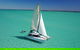 3 Night Ningaloo Reef Snorkel And Dive Getaway From Coral Bay - thumb 4
