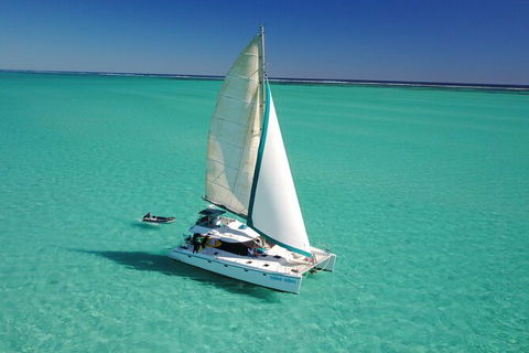 3 Night Ningaloo Reef Snorkel And Dive Getaway From Coral Bay - Accommodation Adelaide 4