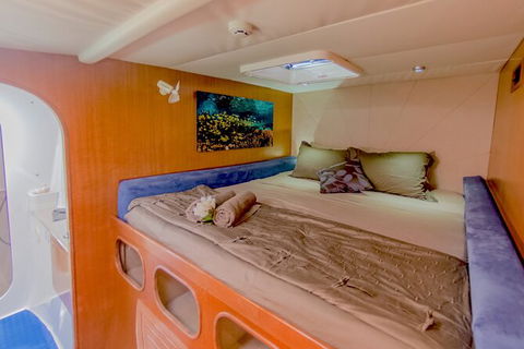 3 Night Ningaloo Reef Snorkel And Dive Getaway From Coral Bay - Accommodation Adelaide 8