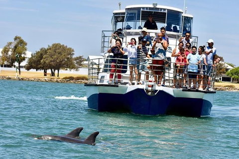 Mandurah Dolphin And Scenic Marine Cruise - Accommodation Adelaide 0