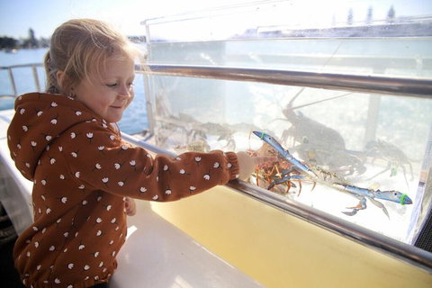Mandurah Dolphin And Scenic Marine Cruise - Accommodation Adelaide 5