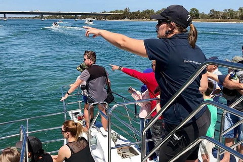 Mandurah Dolphin And Scenic Marine Cruise - Accommodation Adelaide 19