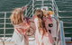 Mandurah Dolphin And Scenic Marine Cruise - thumb 13