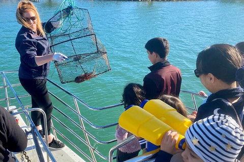 Mandurah Dolphin And Scenic Marine Cruise - Accommodation Adelaide 18
