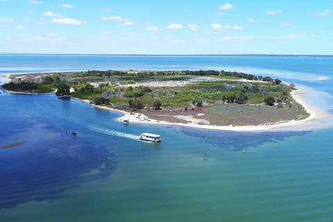 Mandurah Dolphin Island Adventure - Accommodation Adelaide 8
