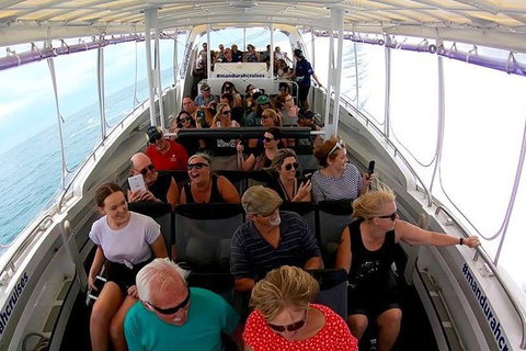 Mandurah Dolphin Island Adventure - Accommodation Adelaide 12