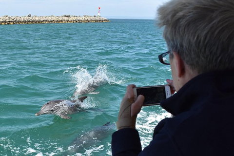 Mandurah Dolphin Island Adventure - Accommodation Adelaide 2