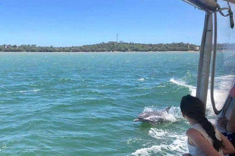 Mandurah Dolphin Island Adventure - Accommodation Adelaide 9