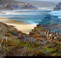 8-Day Cape to Cape Track Guided Walking Tour from Perth - Accommodation Adelaide