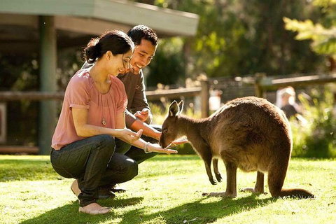 Very Best Of Perth Tour - Wildlife Park & City Highlights Tour - Accommodation Adelaide 0