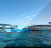 Rottnest Island Bike Snorkel  Ferry Package from Fremantle - Accommodation Adelaide