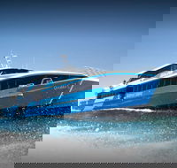 Rottnest Island Day Tour with Wild Seafood Banquet Cruise - Accommodation Adelaide