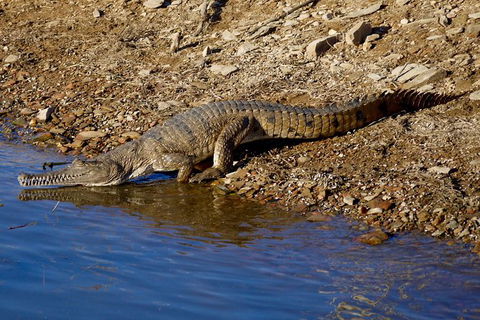 Lake Argyle Morning Cruise - Accommodation Adelaide 7