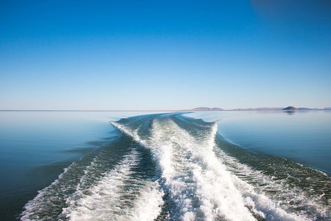 Lake Argyle Best Of Lake Argyle Cruise Departing Lake Argyle - Accommodation Adelaide 5