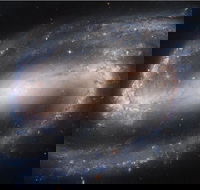 Dusk to Dawn Astronomy Experience at Bullara Station Stay - Accommodation Adelaide