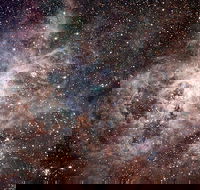 Overnight Astronomy Experience Ningaloo - Yardie Homestead - Accommodation Adelaide