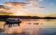 Lake Argyle Sunset Magic Cruise Departing Lake Argyle - thumb 2