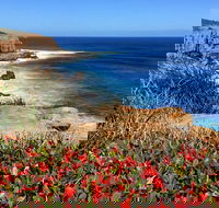 Cape to Cape End-to-End 8 Day Walking Experience - Accommodation Adelaide