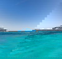 Rottnest Island Settlement Explorer Segway Package from Fremantle - Accommodation Adelaide