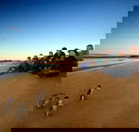 Phillip Island Ultimate Penguin Eco Tour or Skybox Experience - Accommodation Adelaide