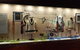 Melbourne Cricket Ground (MCG) Tour - thumb 2