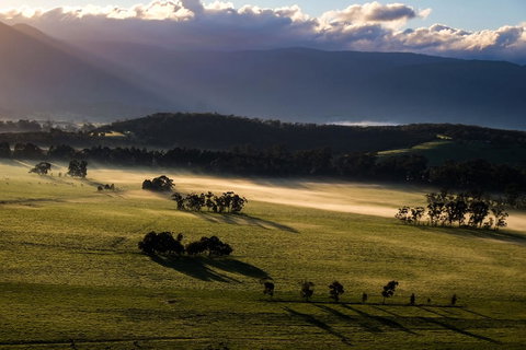 Yarra Valley Balloon Flight At Sunrise - Accommodation Adelaide 9
