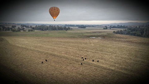Yarra Valley Balloon Flight At Sunrise - Accommodation Adelaide 18