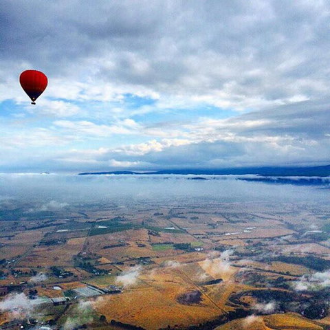 Yarra Valley Balloon Flight At Sunrise - Accommodation Adelaide 20