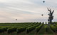 Yarra Valley Balloon Flight At Sunrise - thumb 37