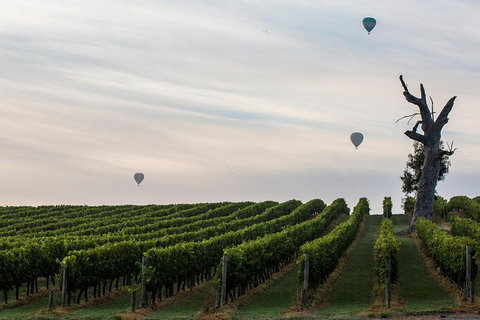 Yarra Valley Balloon Flight At Sunrise - Accommodation Adelaide 37