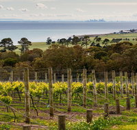 Bellarine Peninsula Small Group Wine Tour with 2 Course Lunch and Morning Tea - Accommodation Adelaide