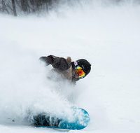 Mt Buller Experience - Accommodation Adelaide