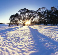 Private Lake Mountain Snow Tour from Melbourne - Accommodation Adelaide