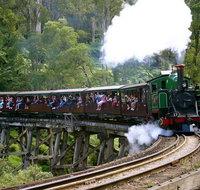 Private Dandenong Ranges Tour including Puffing Billy - Accommodation Adelaide