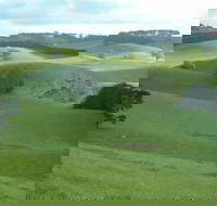 Day Tour of Phillip Island  Surrounding Region - Accommodation Adelaide