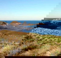 Phillip Island Walking  Bird Watching Tour - Accommodation Adelaide