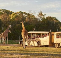 Sunset Safari at Werribee Open Range Zoo - Accommodation Adelaide