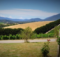 Romantic Private Yarra Valley Day Trip for Two from Melbourne - Accommodation Adelaide