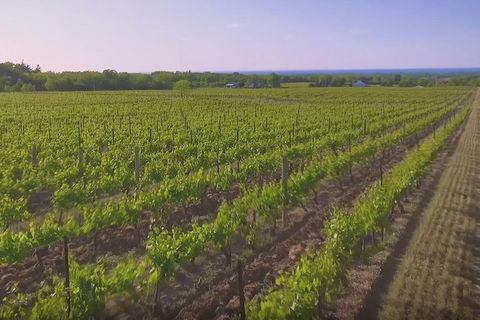 Macedon Ranges Small Group Wine Tour With 2 Course Lunch And Morning Tea - Accommodation Adelaide 5