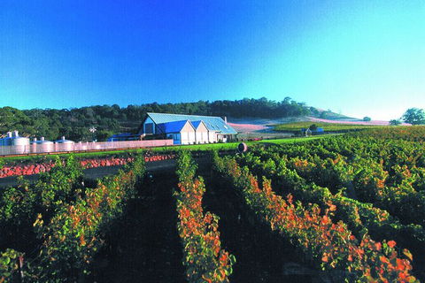 Macedon Ranges Small Group Wine Tour With 2 Course Lunch And Morning Tea - Accommodation Adelaide 4