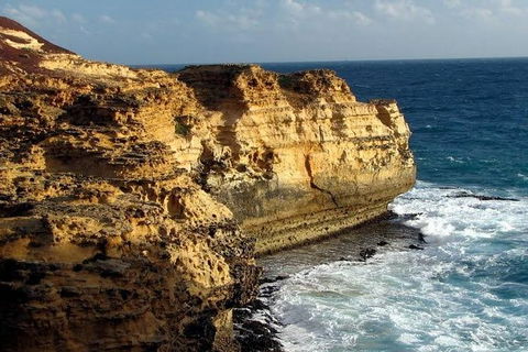 Half Day Phillip Island Woolamai Walking Tour - Accommodation Adelaide 12