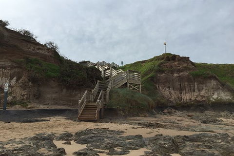 Half Day Phillip Island Woolamai Walking Tour - Accommodation Adelaide 14