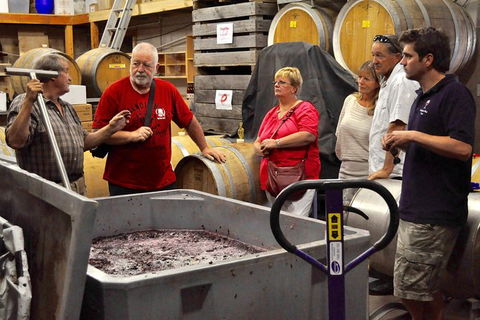 5 Hour Private Wine Tour - Accommodation Adelaide 2